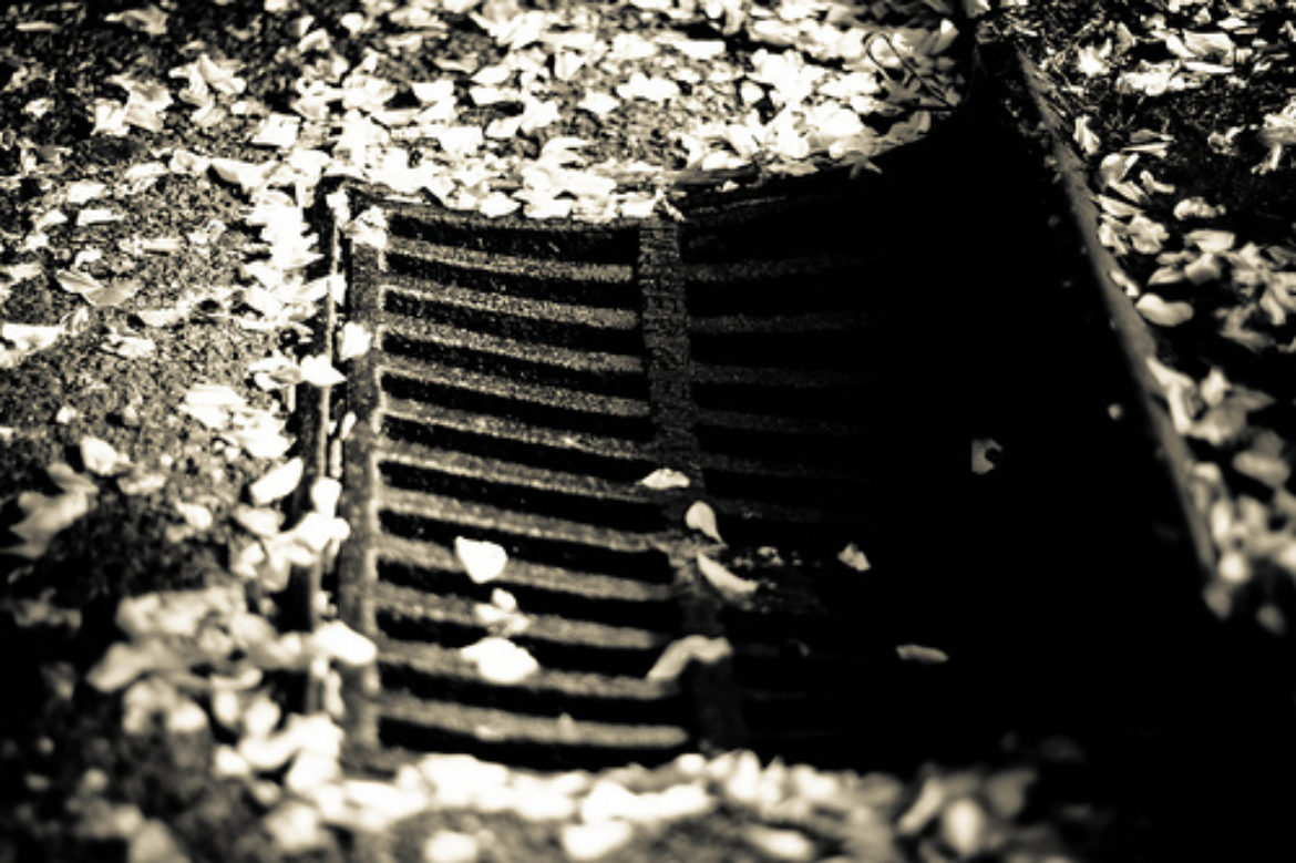 Featured Image