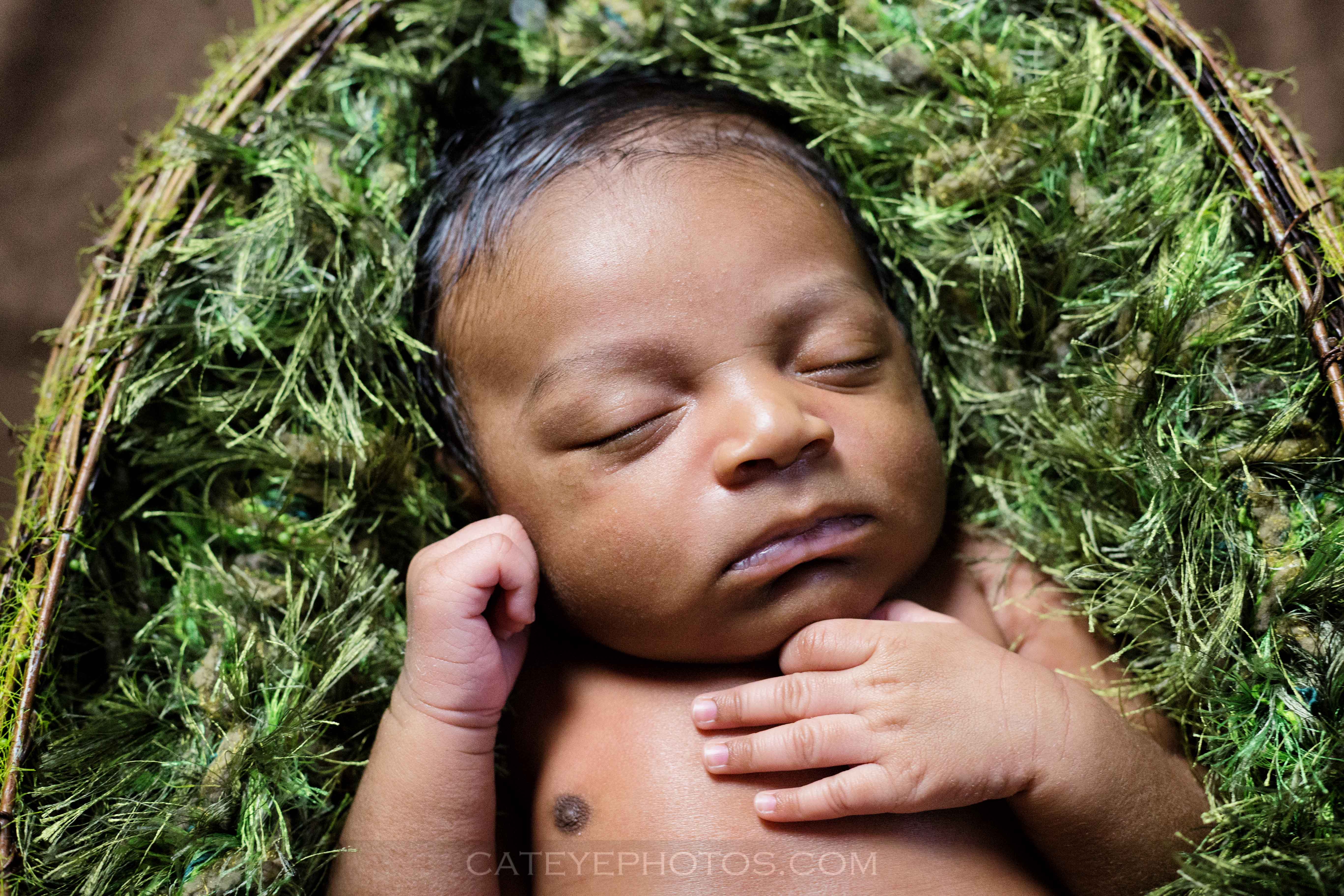 brooklyn newborn photography