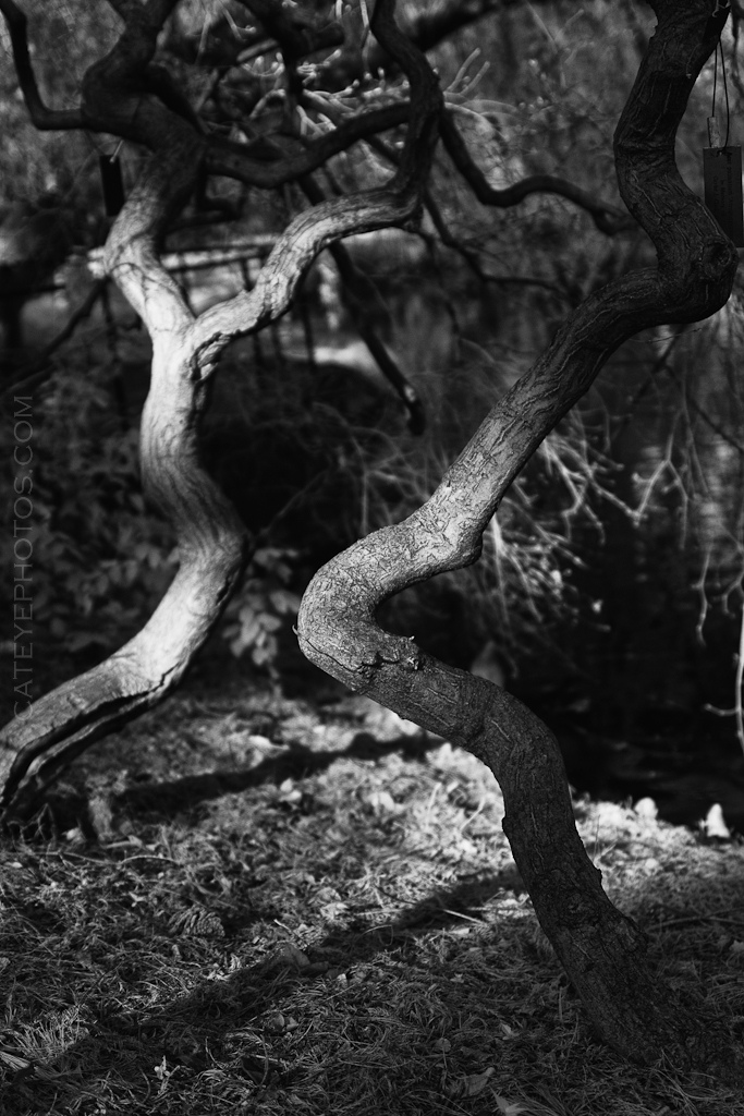 BBG Infrared