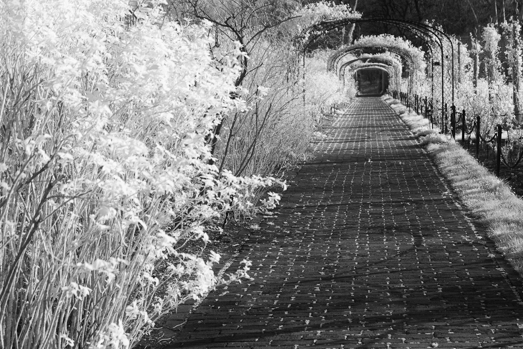 BBG Infrared