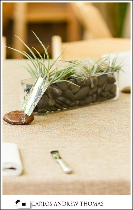 Sam's bar mitzvah | The Berkshires New york lifestyle photographer