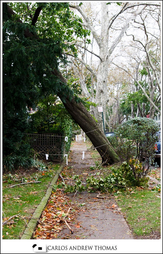 Hurricane_Sandy_Aftermath_Brooklyn_NYC-014.jpg