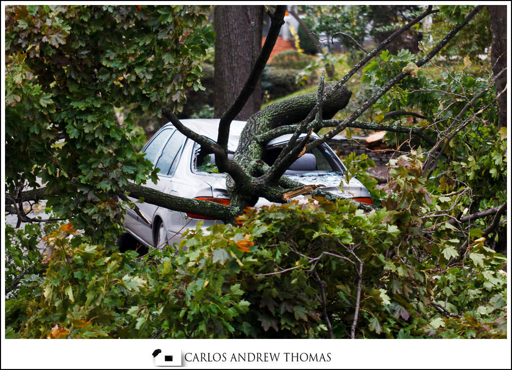 Tree crashed on a car in Brooklyn Hurricane_Sandy_Aftermath_Brooklyn_NYC-041.jpg
