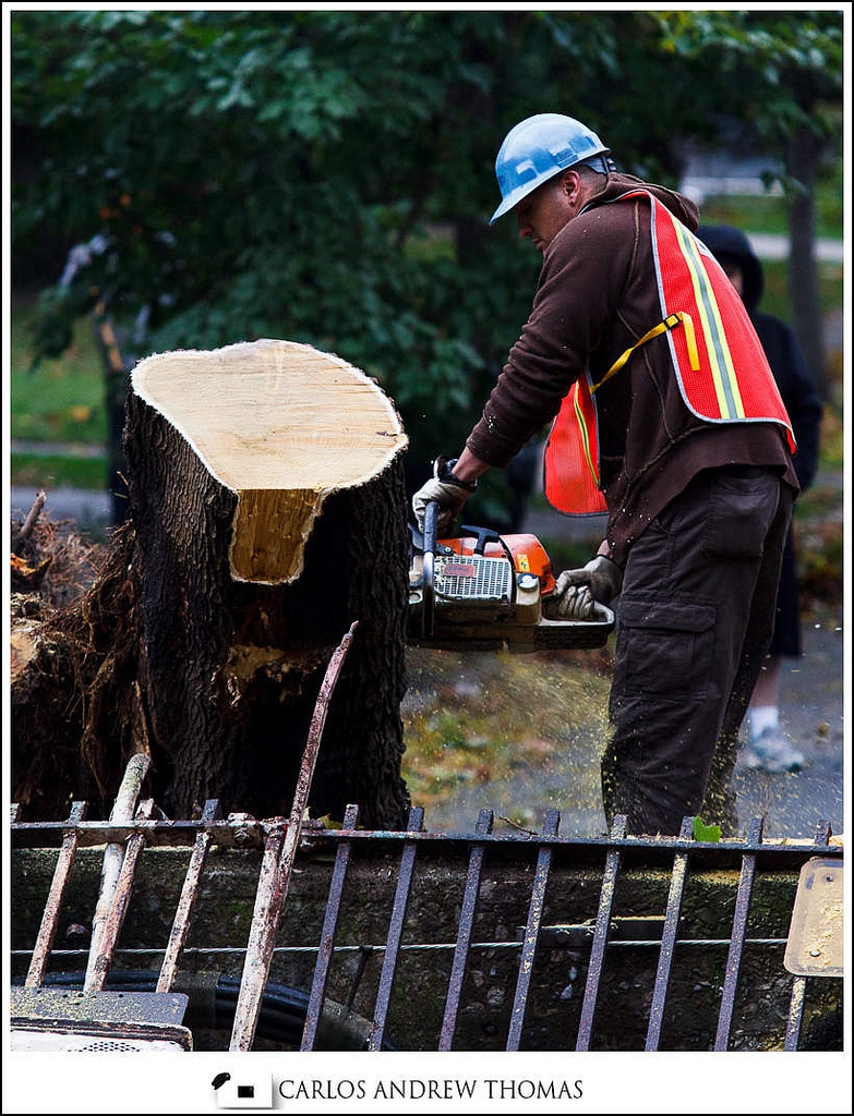 Hurricane_Sandy_Aftermath_Brooklyn_NYC-094.jpg