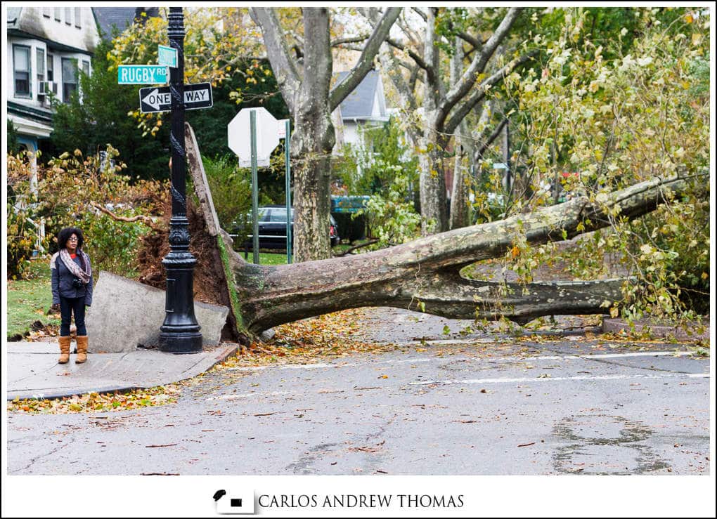 Girl next to fallen tree after Hurricane Sandy Hurricane_Sandy_Aftermath_Brooklyn_NYC-104.jpg