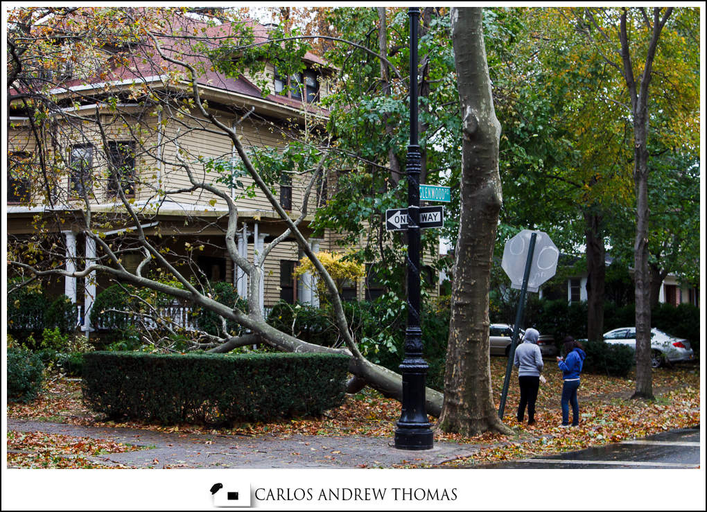 Trees down near a house in Brooklyn Hurricane_Sandy_Aftermath_Brooklyn_NYC-016.jpg