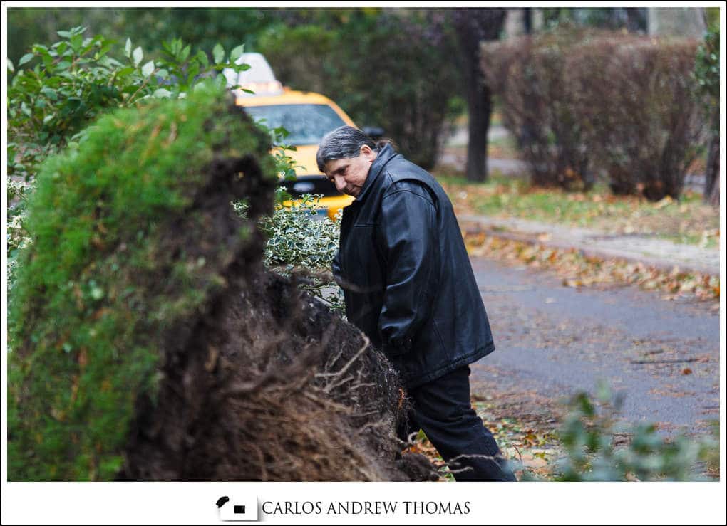 Pedestrian looking at tree root Hurricane_Sandy_Aftermath_Brooklyn_NYC-033.jpg