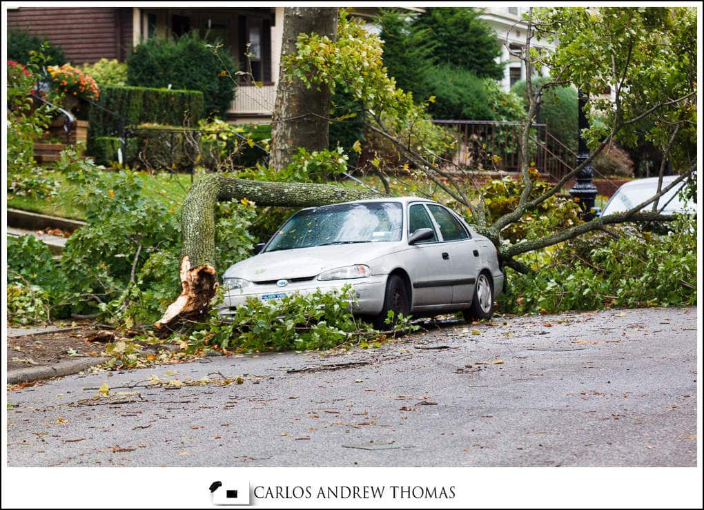 Tree fallen on a car in brooklyn Hurricane_Sandy_Aftermath_Brooklyn_NYC-039.jpg