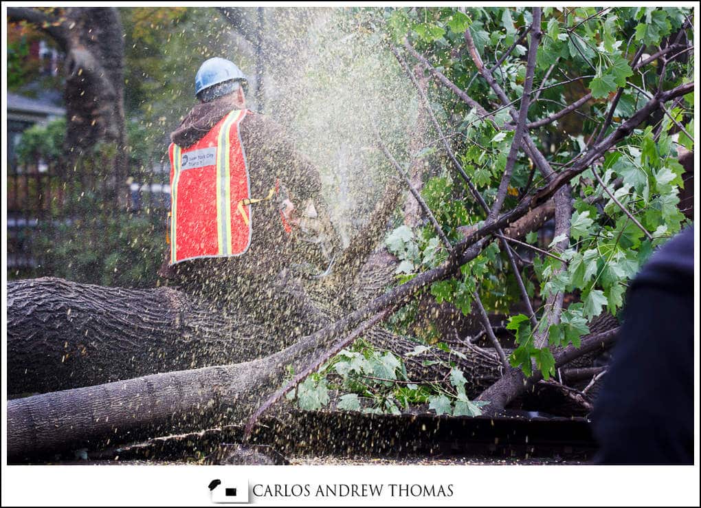 MTA Worker clearing fallen tree Hurricane_Sandy_Aftermath_Brooklyn_NYC-050.jpg