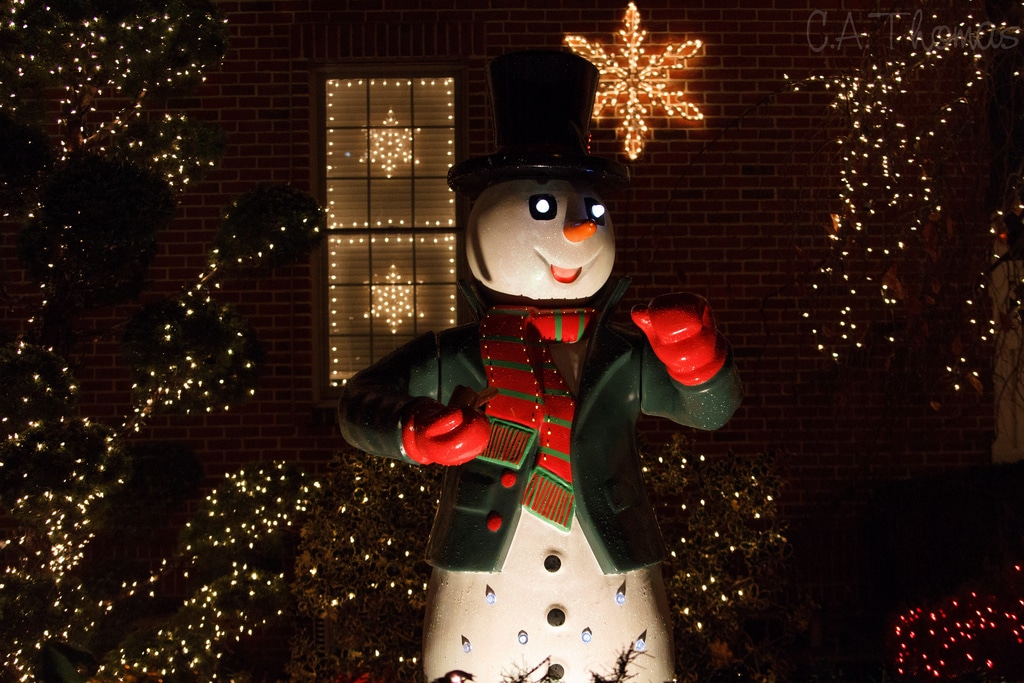 Dyker Heights | Brooklyn, NY - Holiday 2012